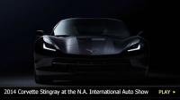 2014 Corvette Stingray at the NA International Auto Show