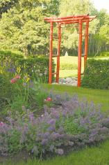 GARDENING: Build it and they will come