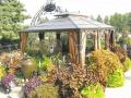 Renovation & Design - GARDENING: Build it and they will come
