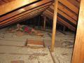 ASK THE INSPECTOR: Zonolite insulation gives rise to questions