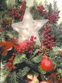 Renovation & Design - GARDENING: O Christmas Tree