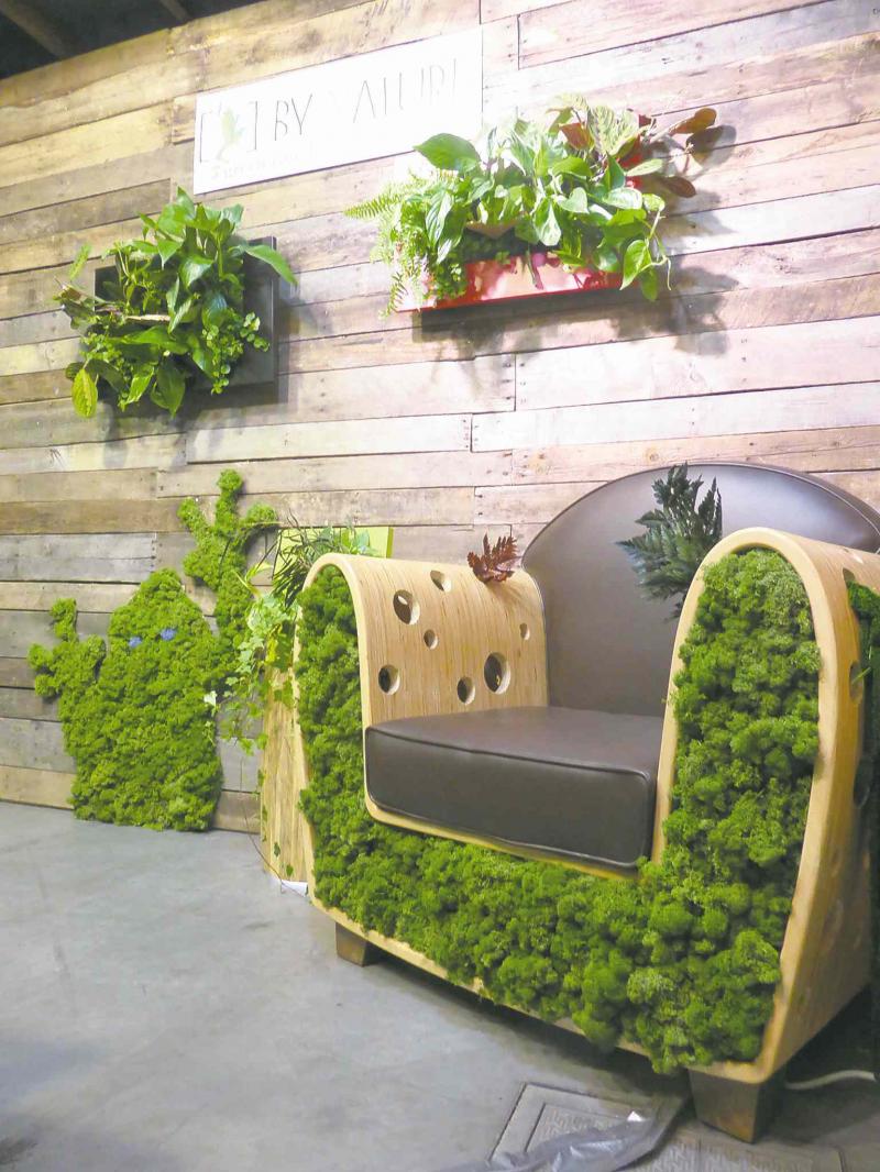 Productos - Boskke Sky Planter - Un alza revolucionaria abajo plantador auto-riego () Productos - Boskke Sky Planter - Un alza revolucionaria abajo plantador auto-riego ()