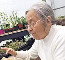 THEA GLAW (HEIKAMP) Obituary pic