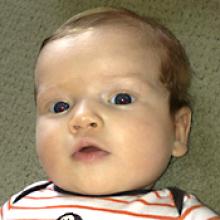 NICHOLAS BRIAN GIBSON Obituary pic