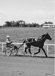 Clarke, Ted Obituary pic