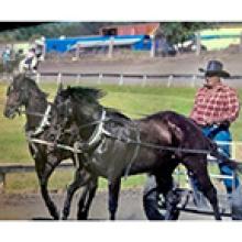 CLARENCE WESLEY PROCTER (CLARE) Obituary pic