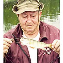 DONALD (DON) MORROW  Obituary pic