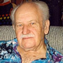 SEVIR LIPKOVSKY Obituary pic
