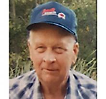 WILLIS NEIL WILKINSON Obituary pic