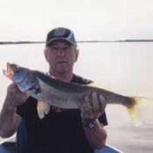 RAY NORMAN SCHAAK Obituary pic