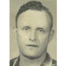 PETER (PIET) BOER Obituary pic