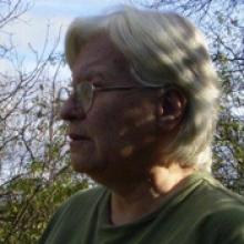 BARBARA ANNE LINK Obituary pic