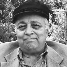 STEVEN EUGENE HOFFMAN Obituary pic