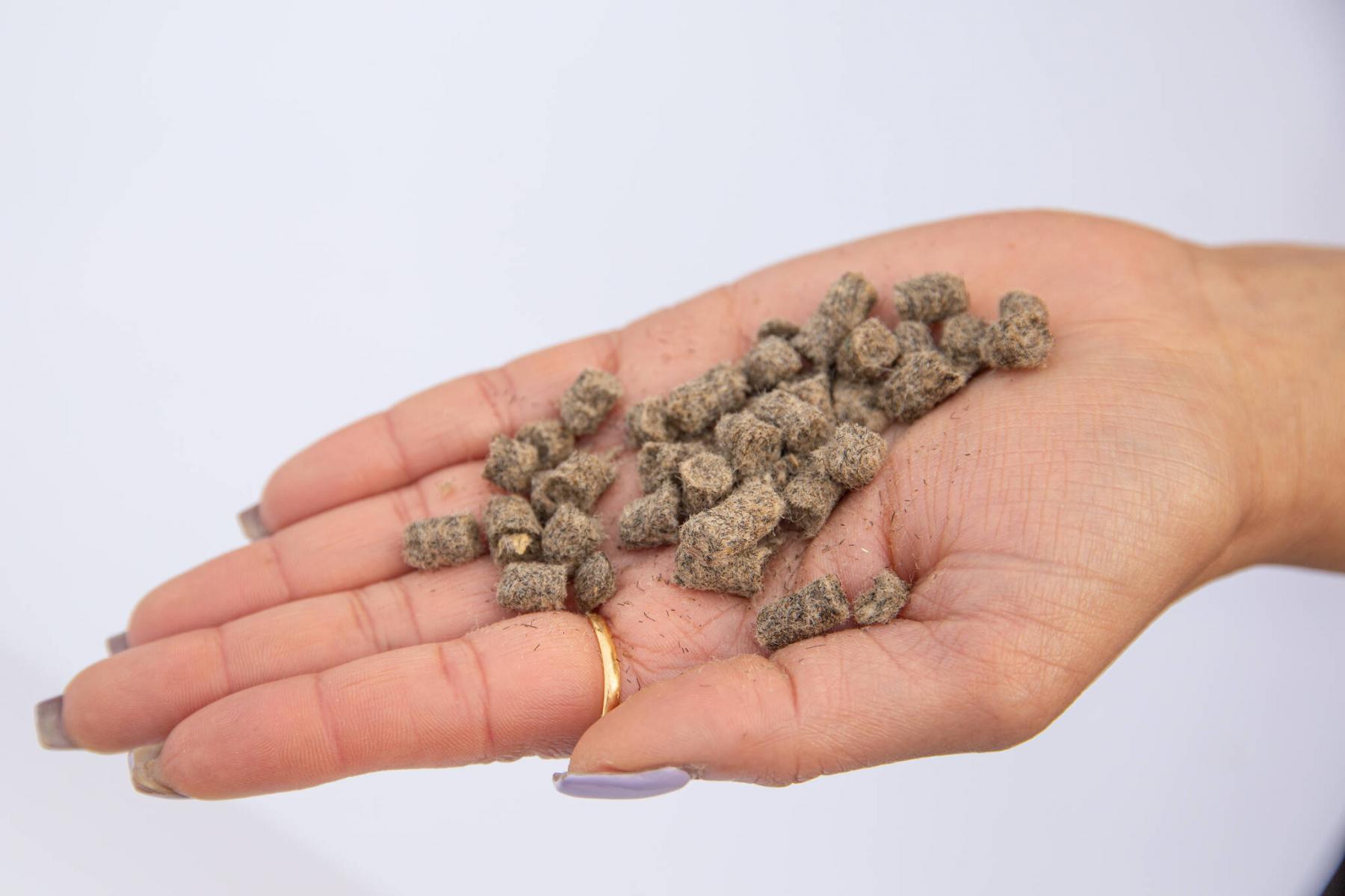<p>T&amp;T Seeds photo</p><p>Sheep wool pellets are a natural fertilizer that contains essential nutrients to promote healthy root development in plants.</p>