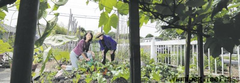 Agnes and Manuel Mendoza work in their newly acquired vegetable garden.
