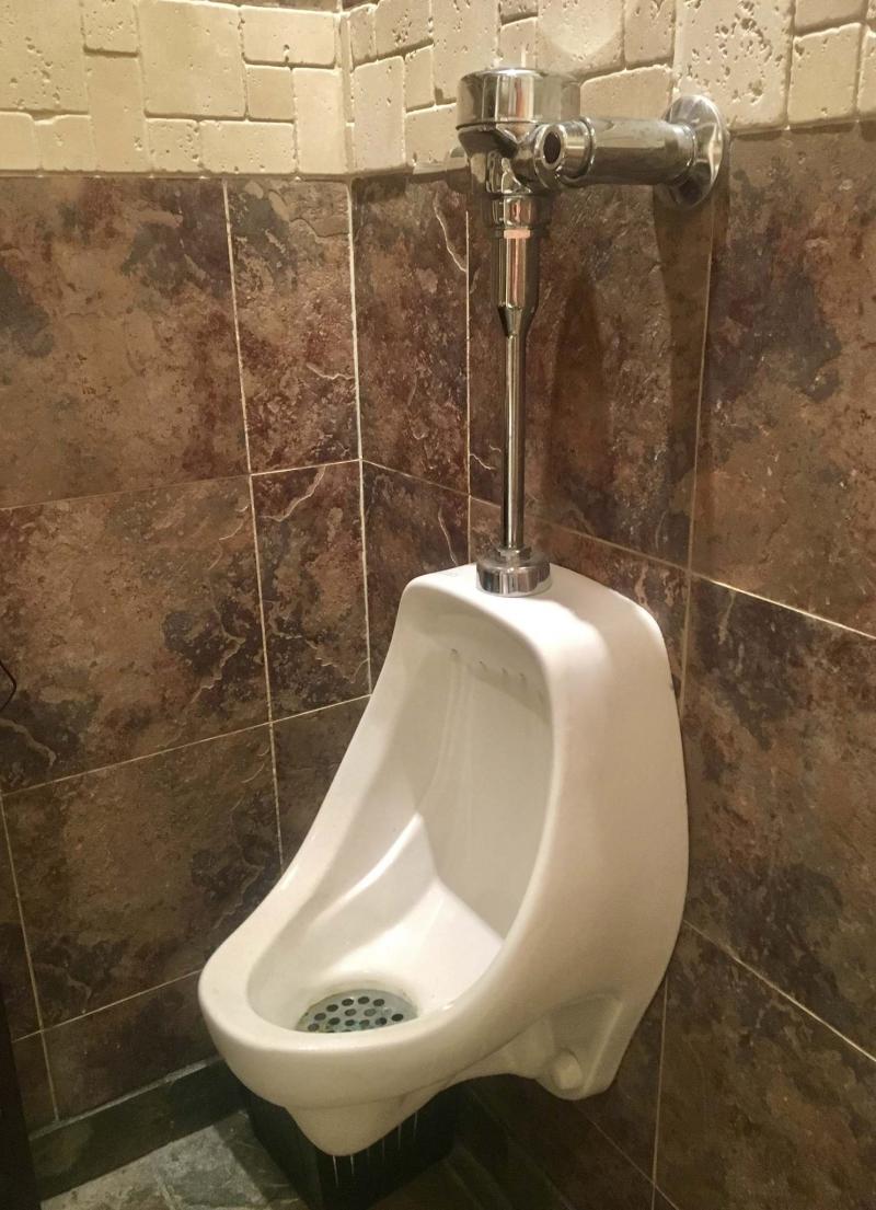 Bathroom reno leads to urinal envy Winnipeg Free Press Homes