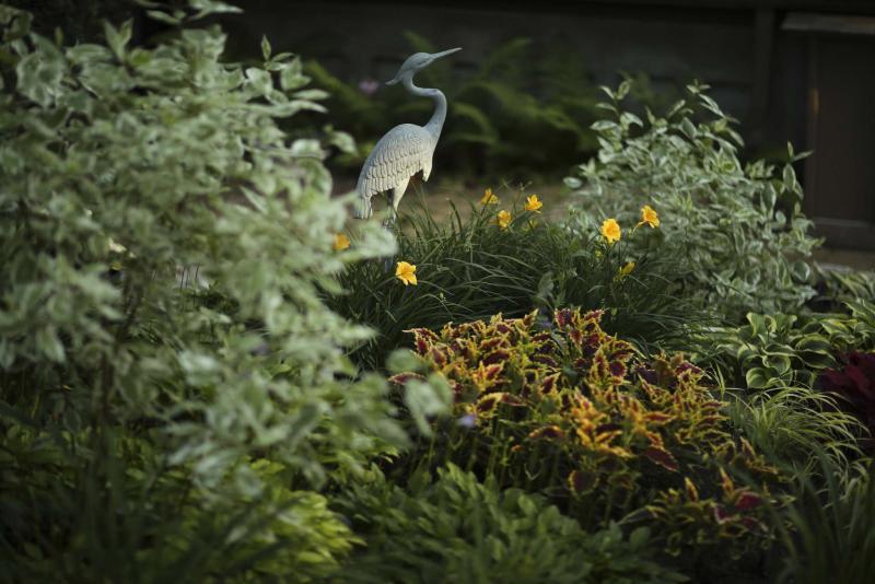 <p>Jeff Wheeler / Minneapolis Star Tribune</p><p>A bed in the backyard garden of Eugene Waldowski's Ramsey, Minn. home. </p>