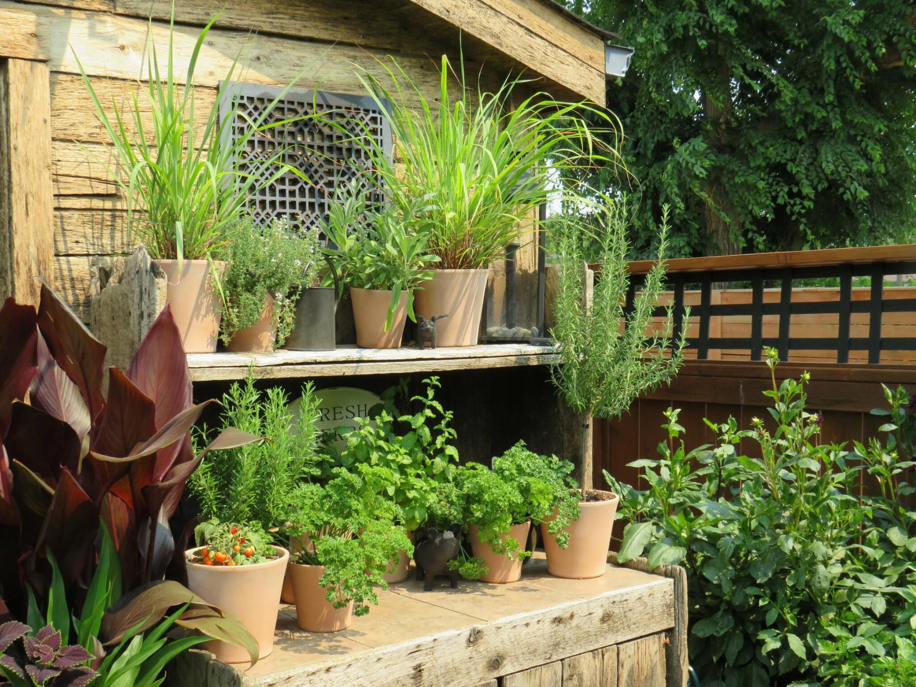  <p>Colleen Zacharias / Winnipeg Free Press</p>
                                <p>Terra cotta containers planted with an array of herbs give an old-world feel to this potting bench built from weathered cedar.</p> 