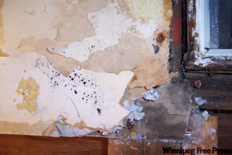 Poorly installed windows could cause rot - Winnipeg Free Press Homes