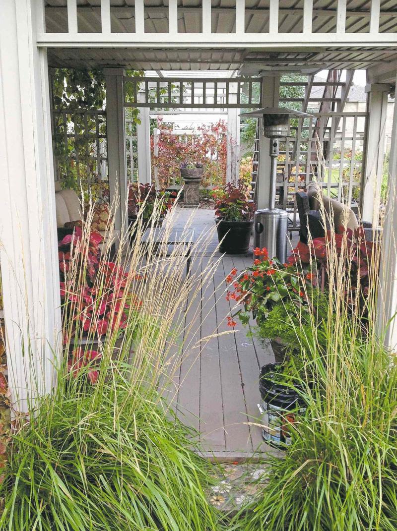 This outdoor living room, situated in the lower deck, is made comfortable and relaxing with durable furniture and colourful, low-maintenance container displays.