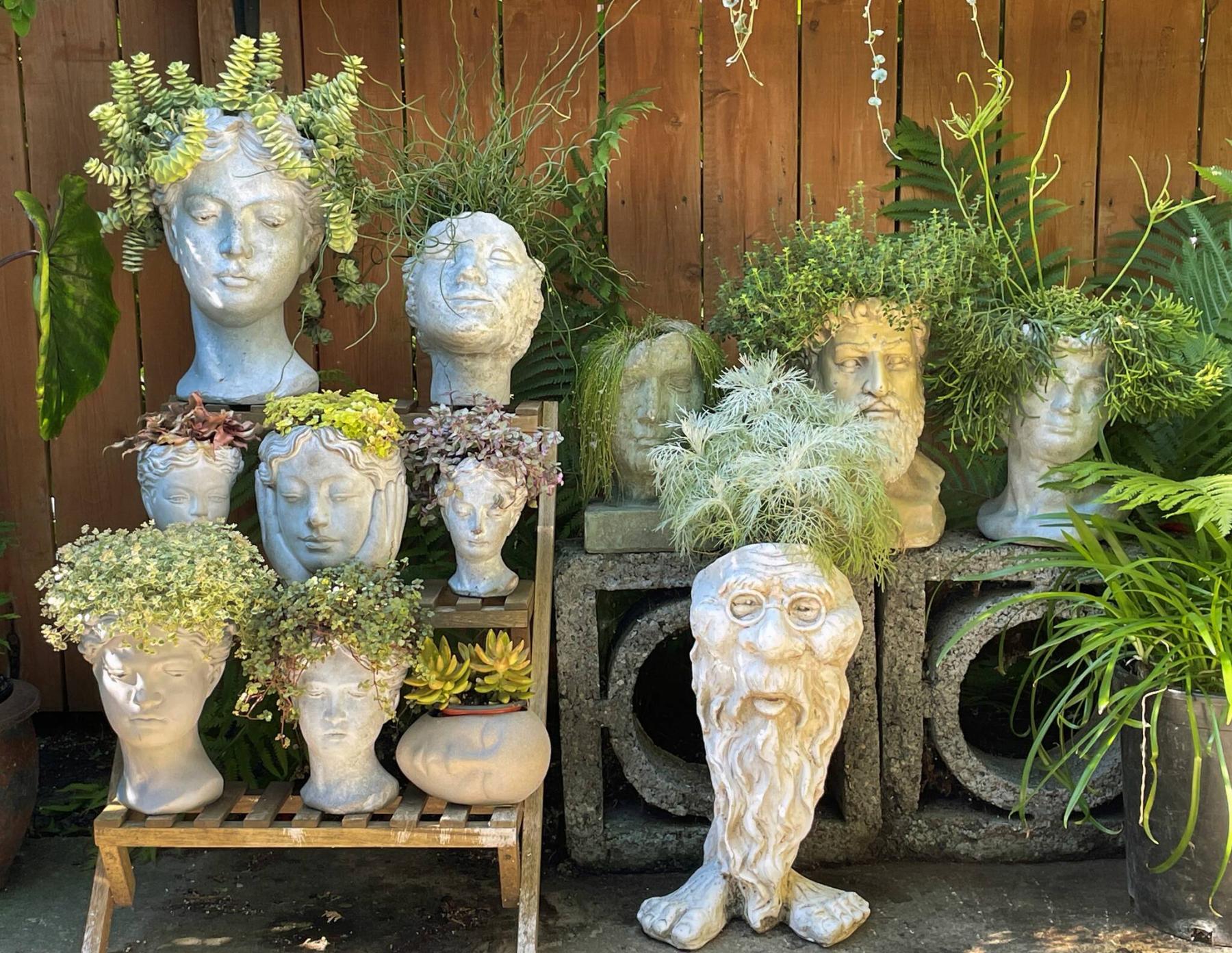  <p>Gwen Beam</p>
                                <p>Gwen Beam&rsquo;s eclectic collection of head planters features a range of plants with different textures and forms.</p> 
