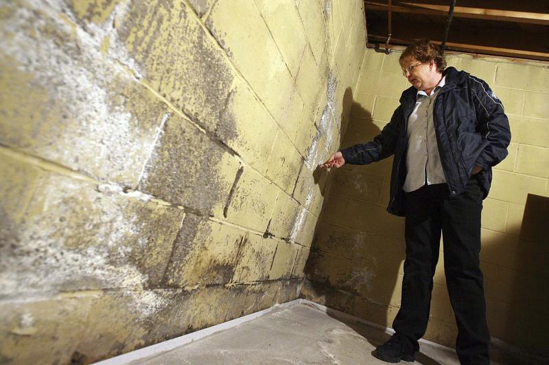<p>Tyler Brownbridge / Postmedia files</p><p>An article on Health Canada&rsquo;s website breaks down mould formations into three categories. Most small and medium mould growths can be cleaned or removed by homeowners, but larger ones should be done by professionals.</p></p>
