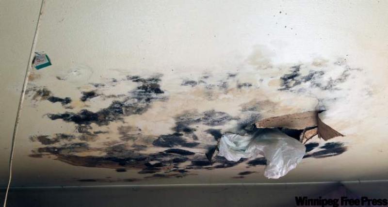 Mould only grows where there is high humidity or moisture