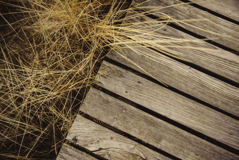 <p>The Washington Post files</p></p><p>In addition to suppressing weeds, wooden walkways prevent you from walking directly on soil, keeping it from becoming too compact. </p>