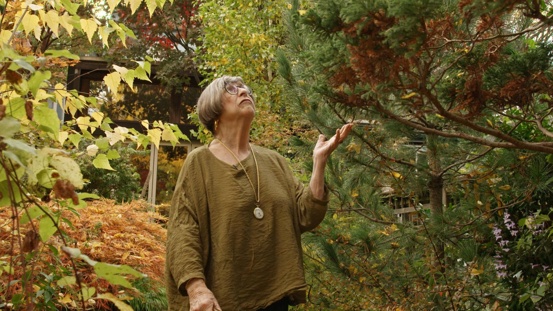  <p>Photos by Visionary Gardeners</p>
                                <p>Marjorie Harris stands in her garden of more than 50 years for one last time.</p> 