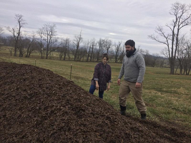 <p>Adrian Higgins / Washington Post</p><p>Sandy Lerner (left) and farm manager Chris Damewood check out their mammoth compost operation at Ayrshire Farm in Upperville, Va.</p>