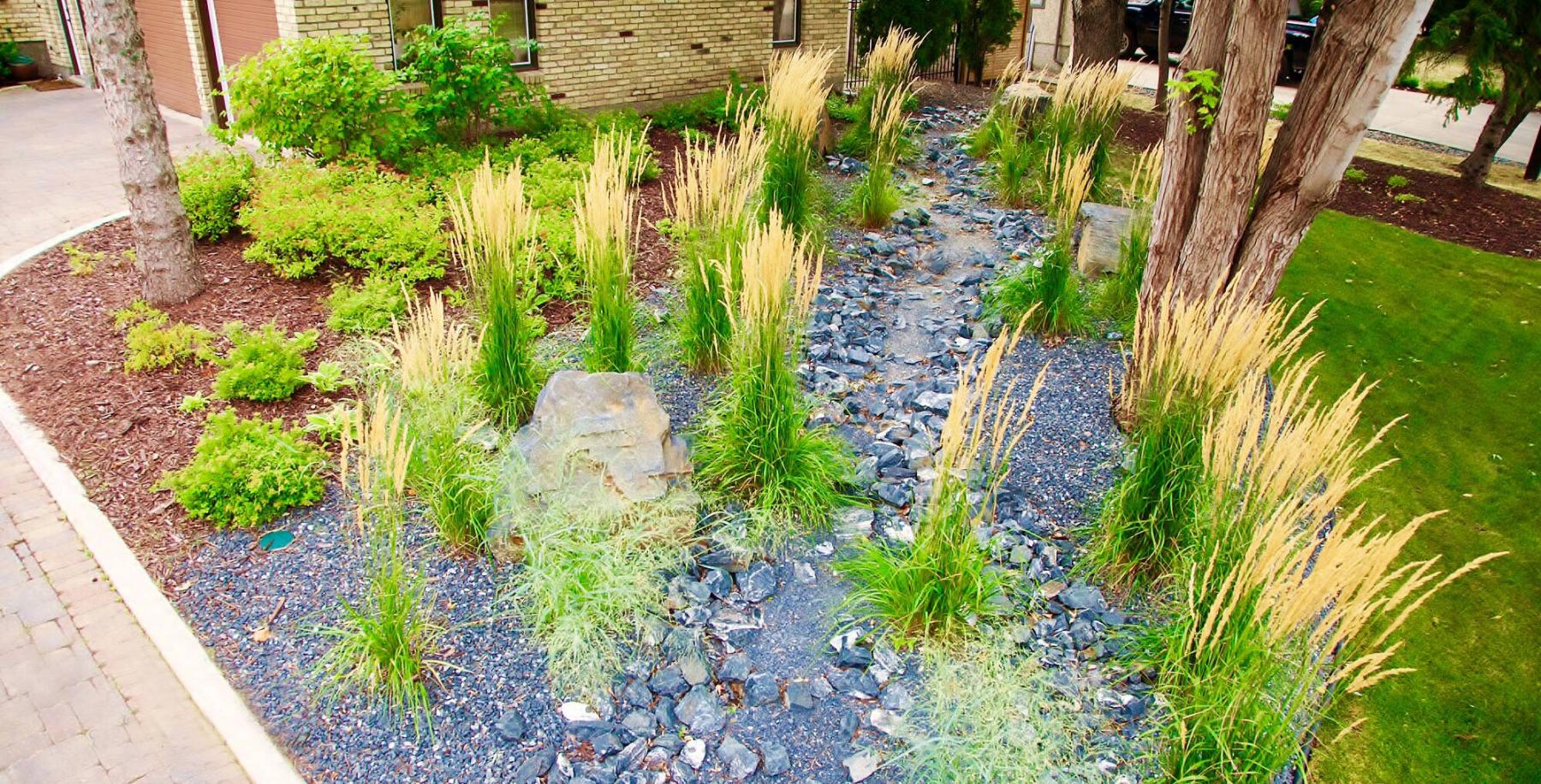  <p>Colleen Zacharias / Free Press</p>
                                <p>A dry stream bed allows rainwater to percolate slowly into the ground and provides moisture for plants.</p> 
