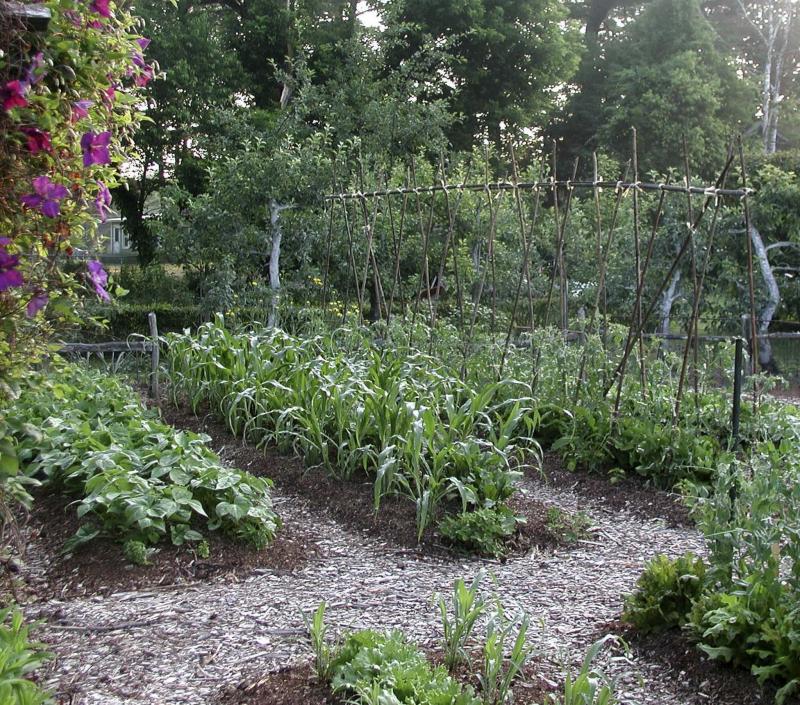 <p>Lee Reich / AP Photo files</p><p>Grandparent gardening is an ideal way to teach children how to grow vegetables, and themselves, while pondering great truths.</p>