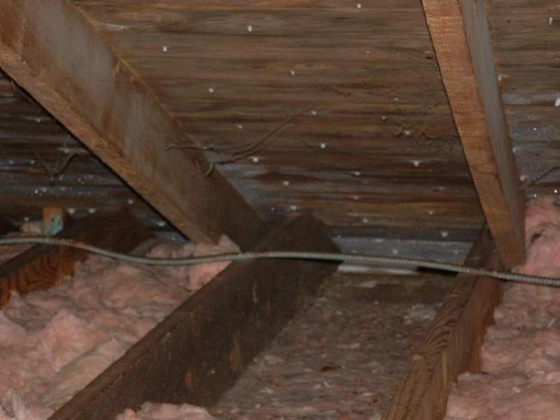 Ask The Inspector Some Attic Frost Nothing To Worry About Winnipeg Free Press Homes