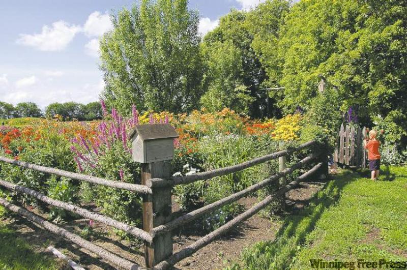 Travel to the countryside in Carman for a visit to Hennieâs cottage garden.