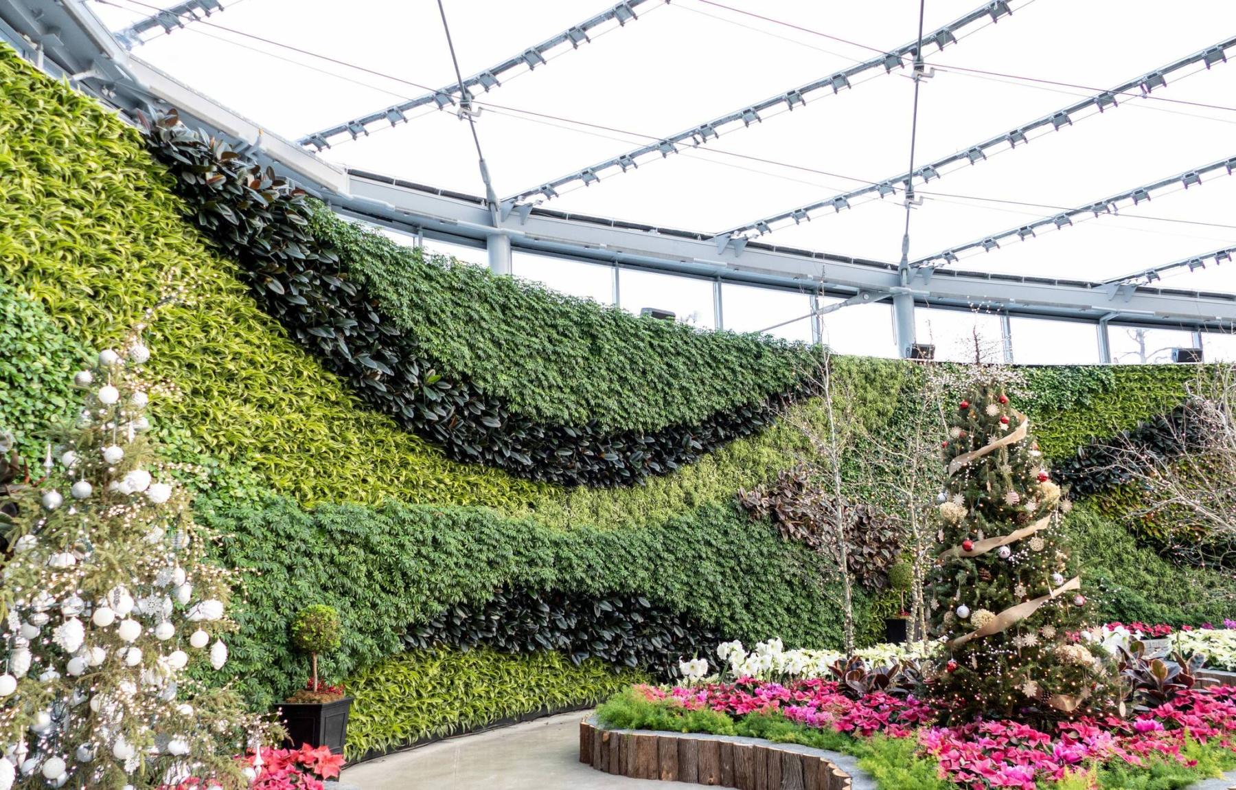  <p>Darlene Stack</p>
                                <p>The green wall in the Babs Asper Display House at The Leaf is one of the largest indoor living walls in Canada.</p> 