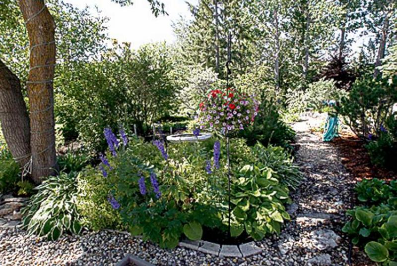 The lot -- all five acres -- has more than 700 trees surrounding the 2,100-square-foot home, which was built to exceedingly high standards in 1976.