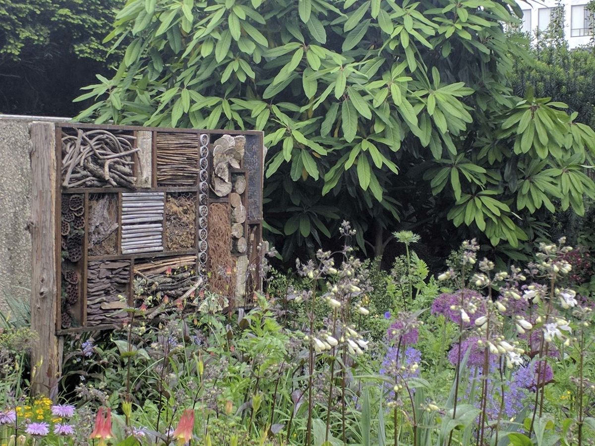 <p>A collection of apartments for bees and other insects is found in the Homes exhibit.</p></p>