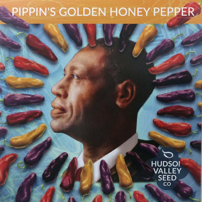 <p>Adrian Higgins / Washington Post</p><p>Seed-saver Horace Pippin is depicted on the seed packet for Pippin’s Golden Honey Pepper, a multihued sweet pepper variety from Hudson Valley.</p>