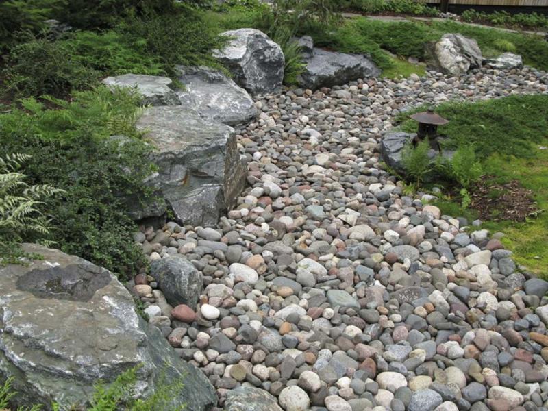 <p>David Slawson / The Washington Post</p><p>Left alone, a landscape will perpetuate itself, as plants and animals return to the soil in a fertile, self-sustaining cycle of life and death.</p>