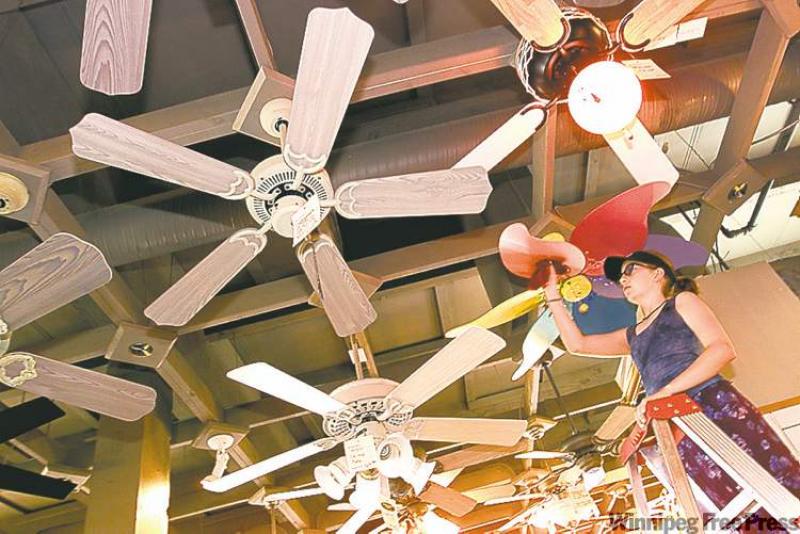 Updating the look of your ceiling fan can enhance the overall decor of a room.