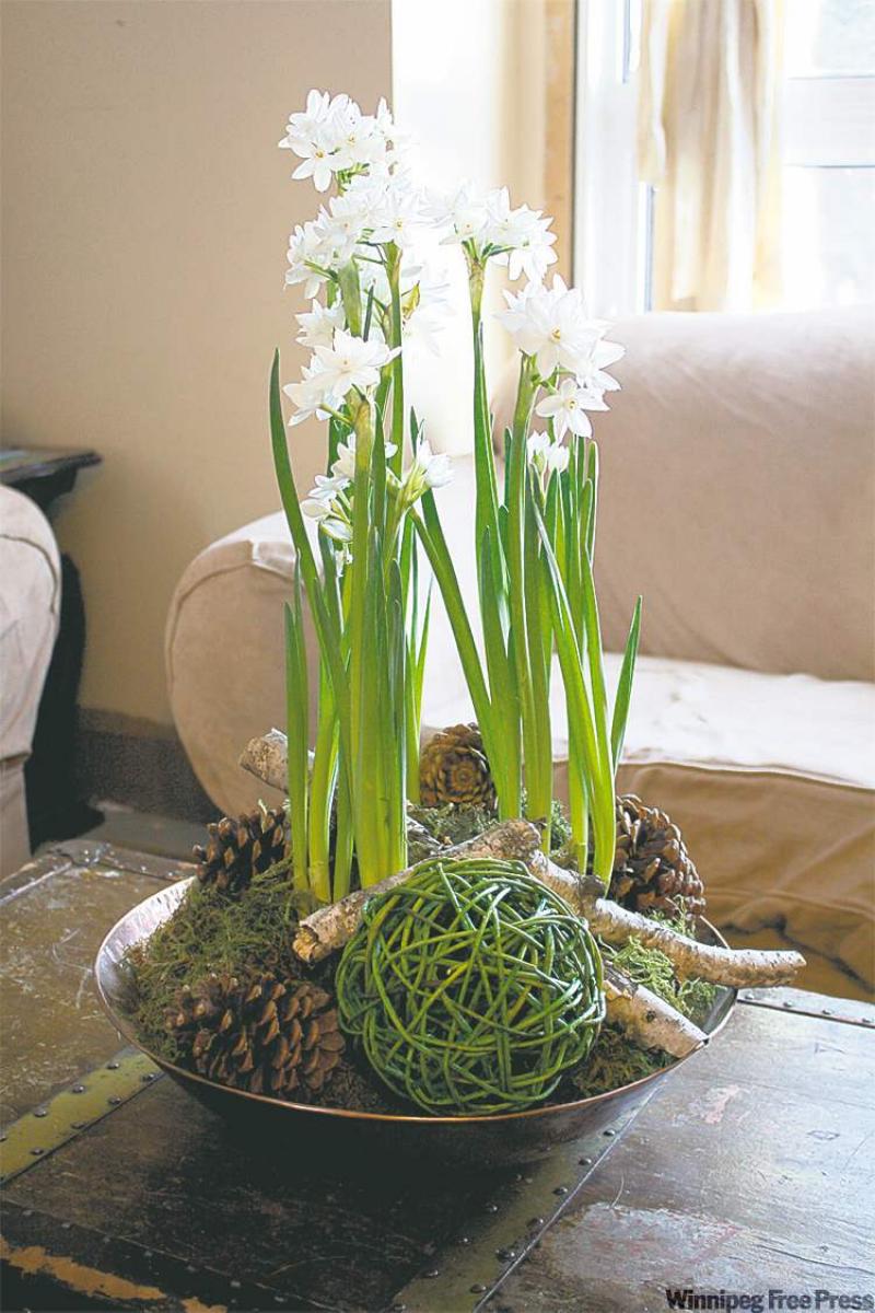 Herald season with festive arrangement - Winnipeg Free Press Homes