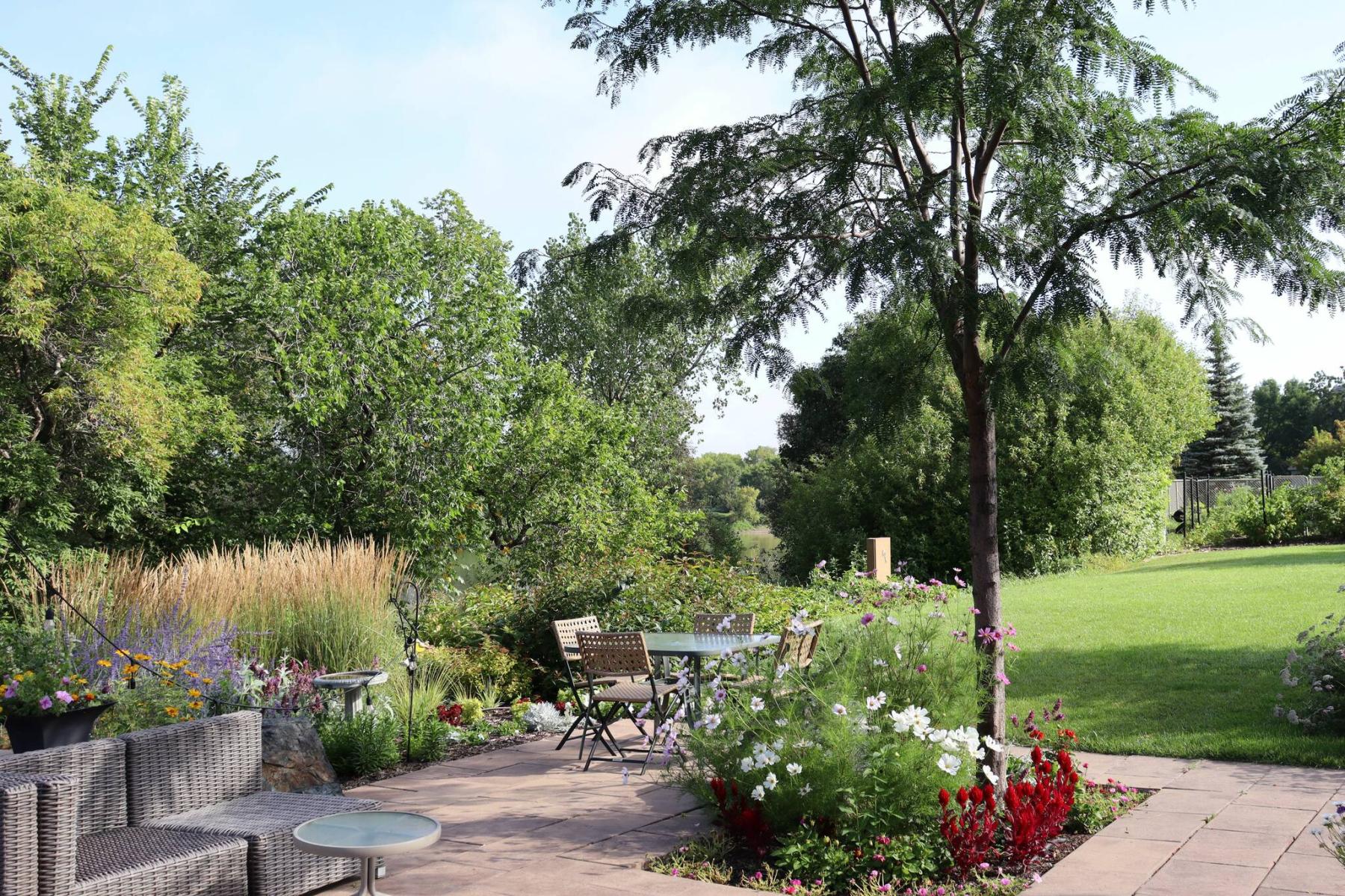  <p>Colleen Zacharias / Free Press</p>
                                <p>Northern Acclaim honey locust with its lacy foliage provides light shade and unique tree diversity.</p> 