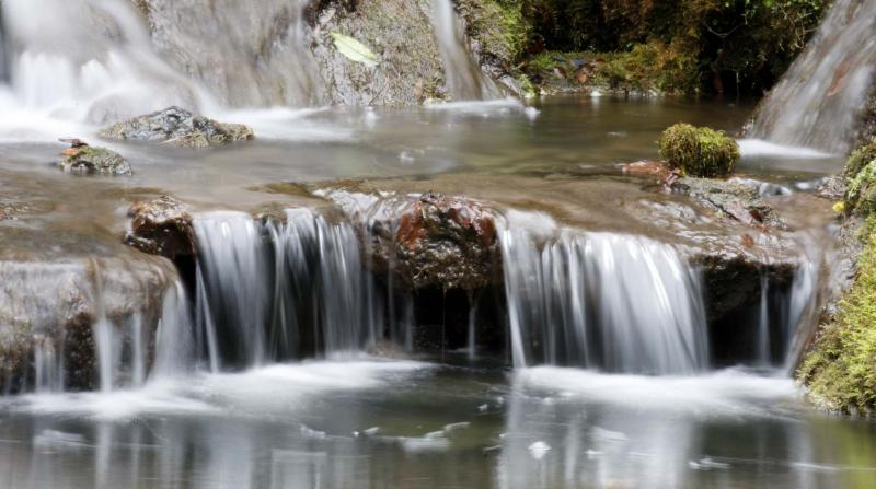 <p>Rick Bowmer / The Associated Press</p>