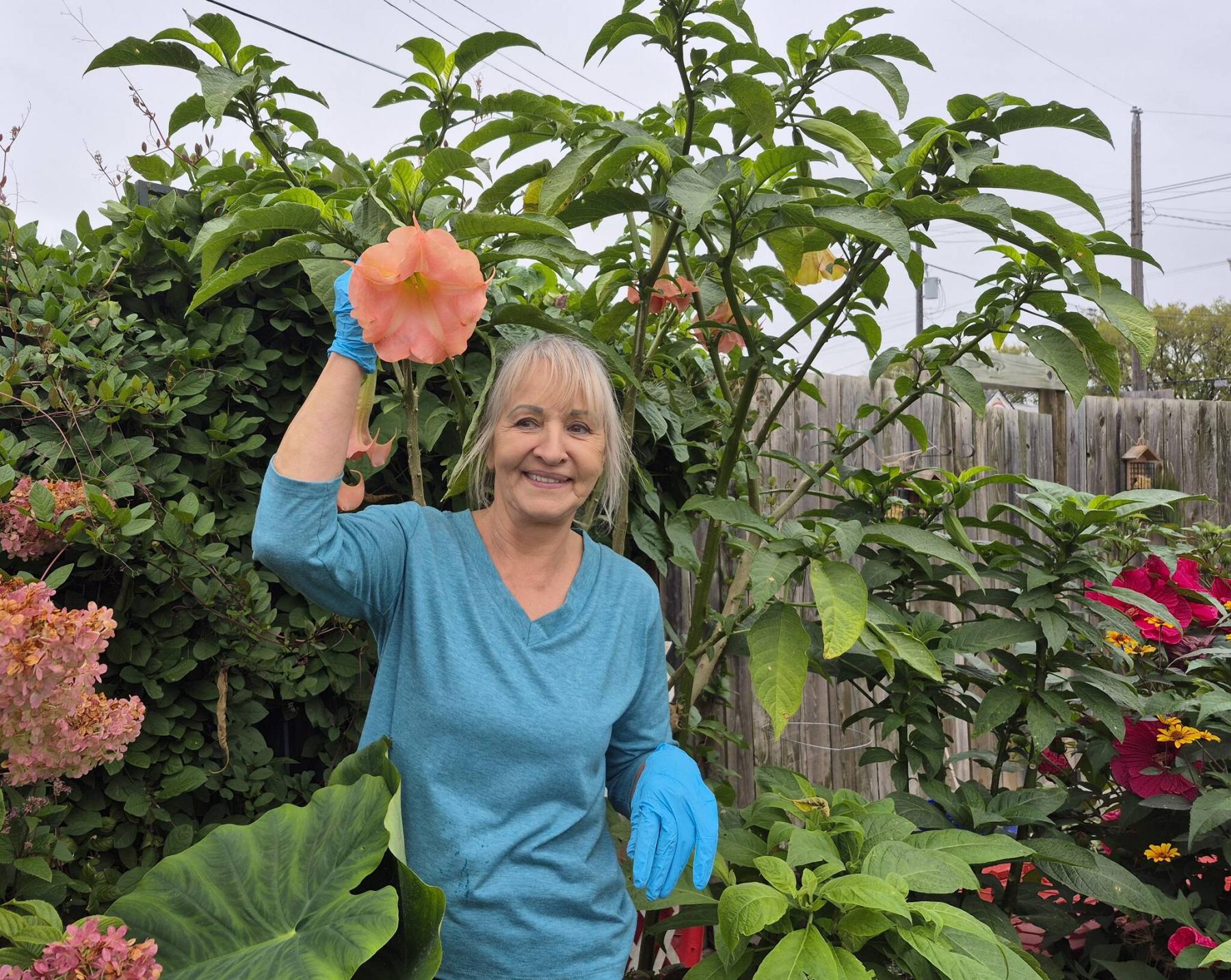  <p>Colleen Zacharias photo</p>
                                <p>Elizabeth Ochnio with one of the many exotic Brugmansia Angel&rsquo;s Trumpet plants she grows in her garden and overwinters indoors.</p> 