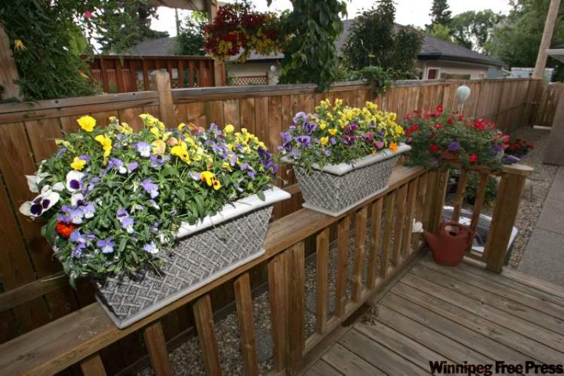 Jane Grant has created a small, beautiful, minimalist backyard for her inner-city home complete with pergolas, planters, deck and no lawn.
