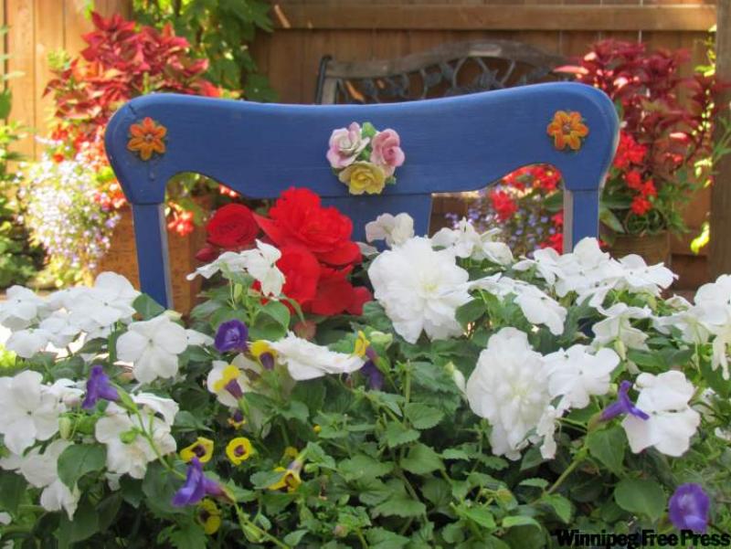 Decorated with china flowers and a vivid coat of blue paint, this vintage Queen Anne chair does double duty as a planter brimming with red and white begonias, impatiens and torenia.