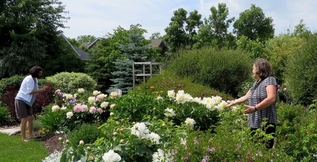 <p>Pat Watts Stevens</p><p>Cheryl Geske (right) in her peony garden in Gimli.</p>