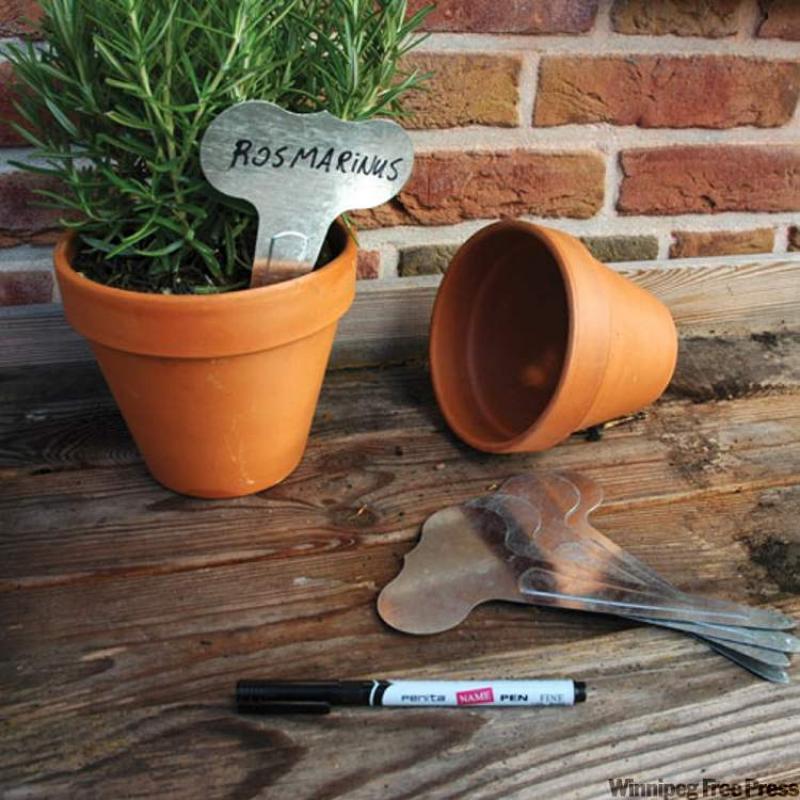 SOLUTIONS Rewriting on etched zinc plant markers Winnipeg Free Press