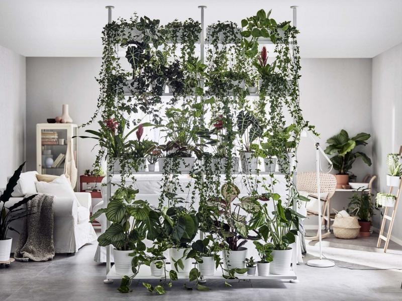 <p>SUPPLIED</p><p>Ikea&rsquo;s new Elvarli green wall shelving system is an affordable green wall option for homeowners. Dress it up with your favourite plants using a mix of upright and trailing tropicals.</p></p>