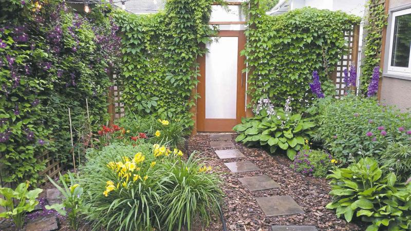 This lush, walled garden provides just enough colour and texture for busy homeowners who desire greenspace but a minimum of maintenance.
